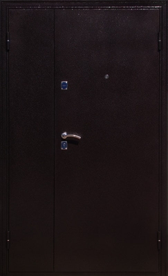 Тамбурная дверь DMP-035