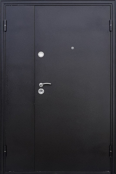 Тамбурная дверь DMP-036