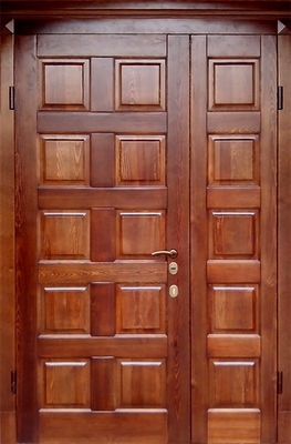 Парадная дверь DMD-020