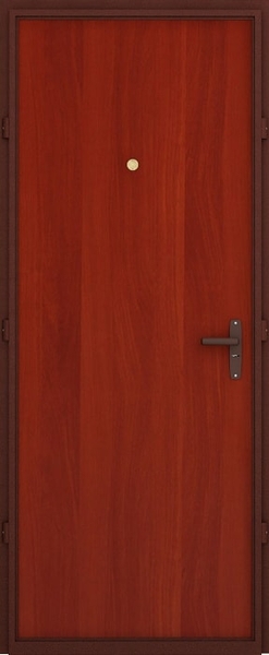 Дверь с порошковым напылением ZK-048