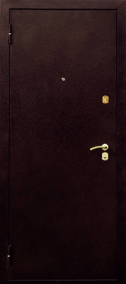 Дверь с порошковым напылением ZK-060