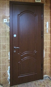 Однопольная дверь в квартиру
