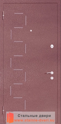 Порошковая дверь с рисунком PR-014