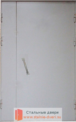 Тамбурная дверь DMP-002