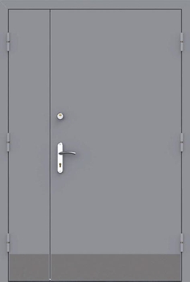 Тамбурная дверь DMP-028