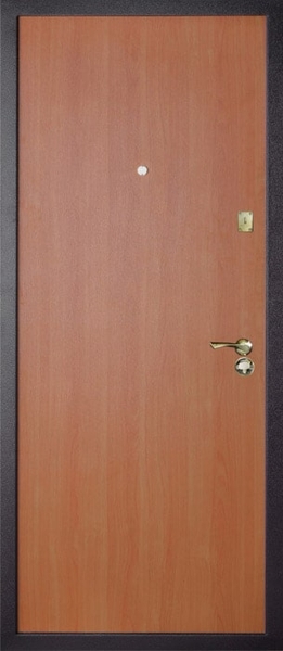 Дверь с порошковым напылением ZK-004