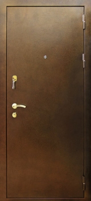 Дверь с порошковым напылением ZK-090
