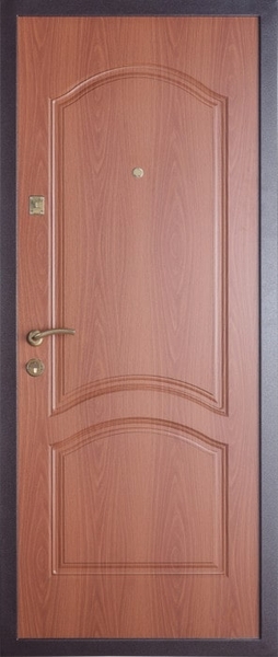 Дверь с порошковым напылением ZK-017