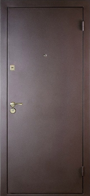 Дверь с порошковым напылением ZK-031